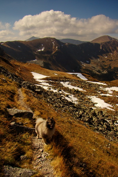 Hladké sedlo (Vysoké Tatry)