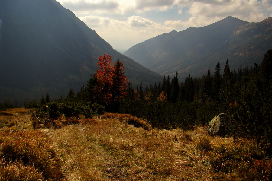 Hladké sedlo (Vysoké Tatry)