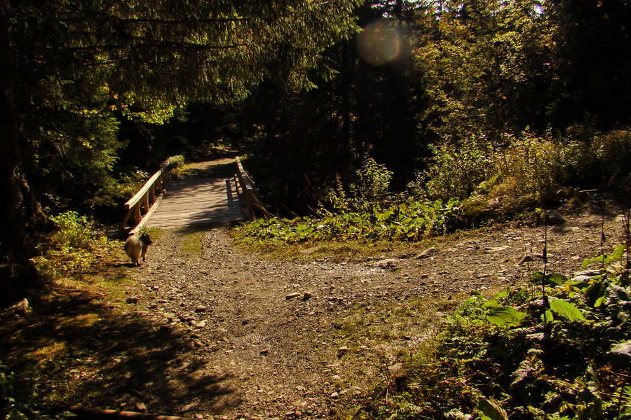 Hladké sedlo (Vysoké Tatry)