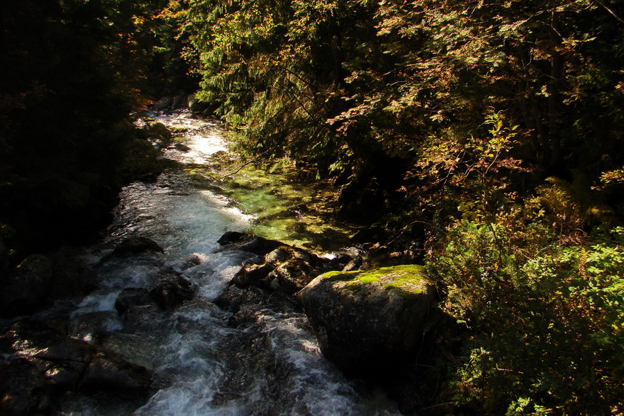 Hladké sedlo (Vysoké Tatry)