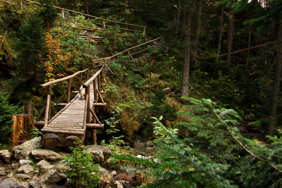 Hladké sedlo (Vysoké Tatry)