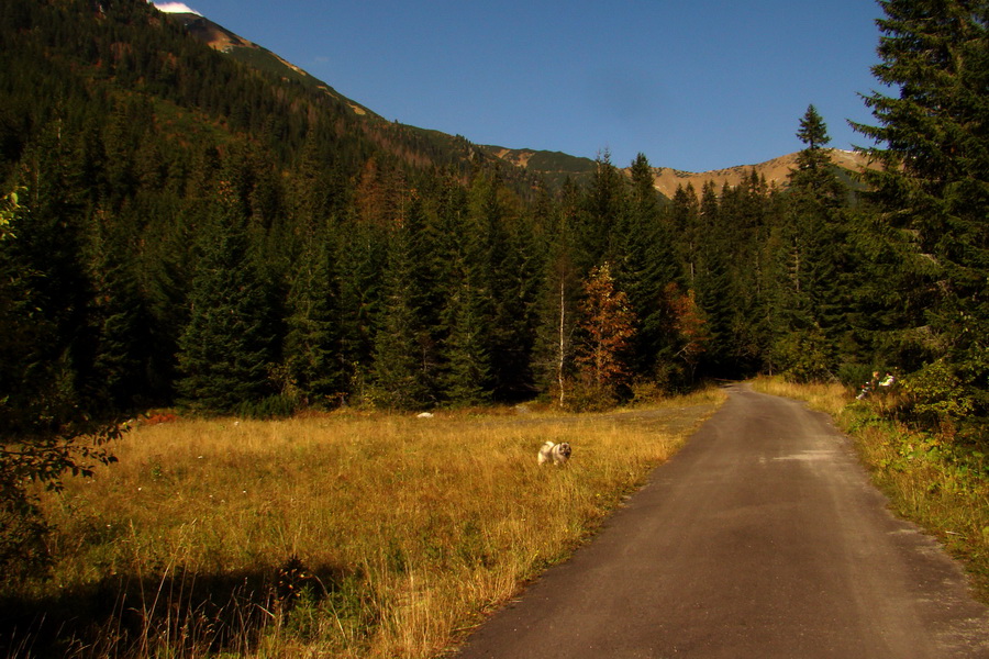 Hladké sedlo (Vysoké Tatry)