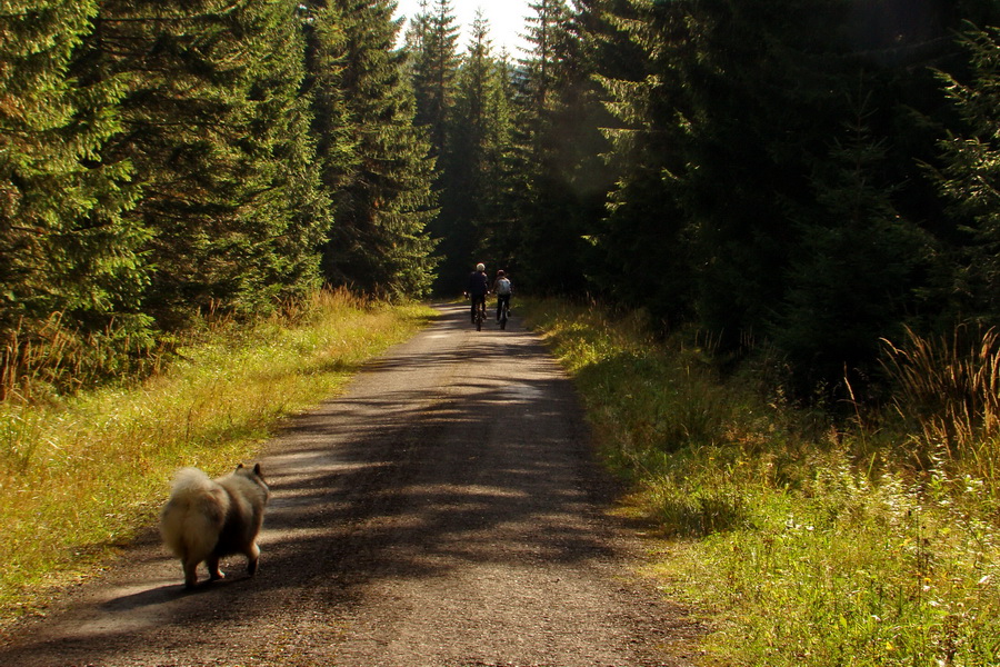 Hladké sedlo (Vysoké Tatry)