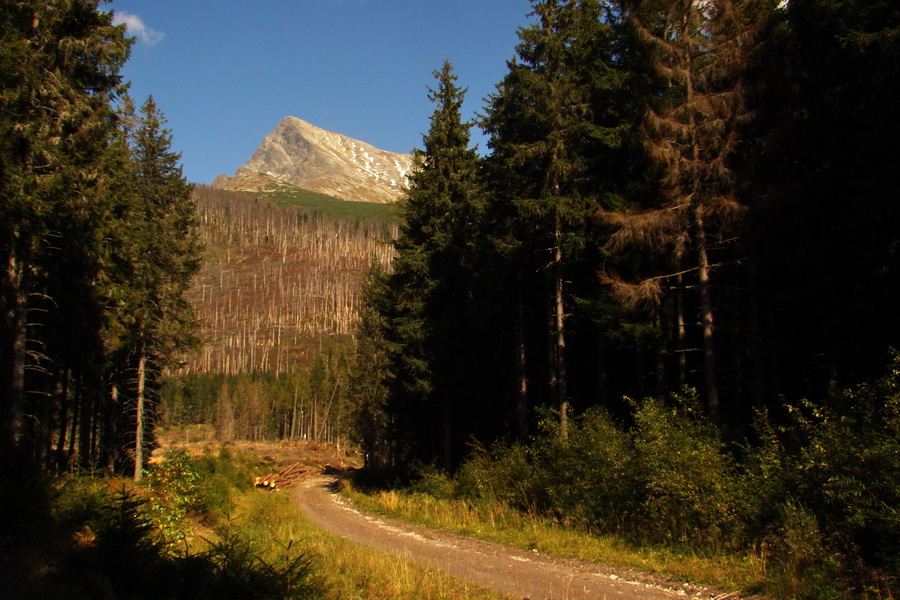 Hladké sedlo (Vysoké Tatry)