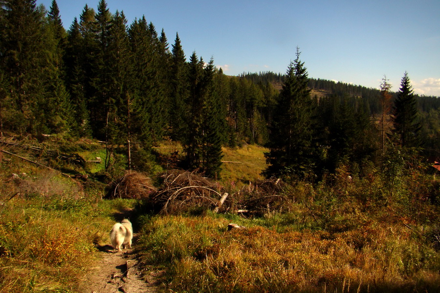 Hladké sedlo (Vysoké Tatry)