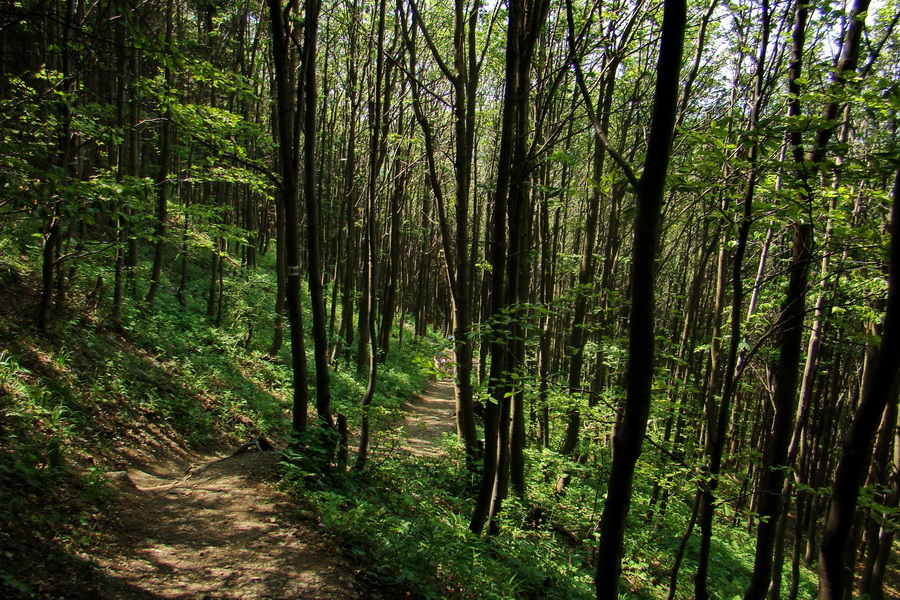 Hrebeňovka Lúčanskej Malej Fatry - 1 deň (Malá Fatra)