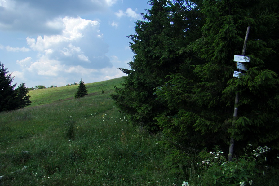 Hrebeňovka Lúčanskej Malej Fatry - 1 deň (Malá Fatra)