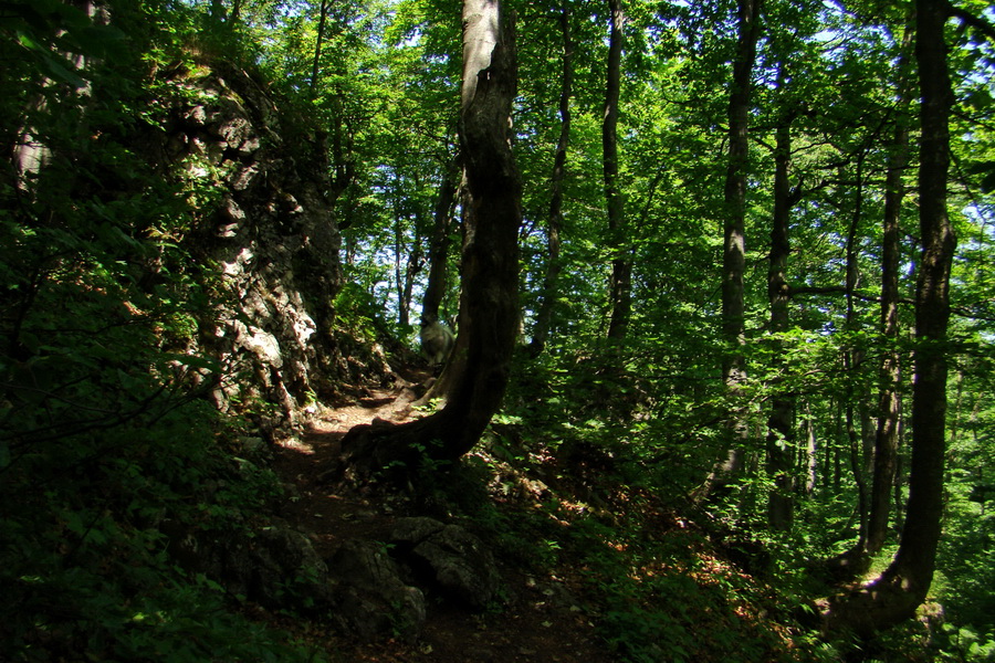 Hrebeňovka Lúčanskej Malej Fatry - 1 deň (Malá Fatra)