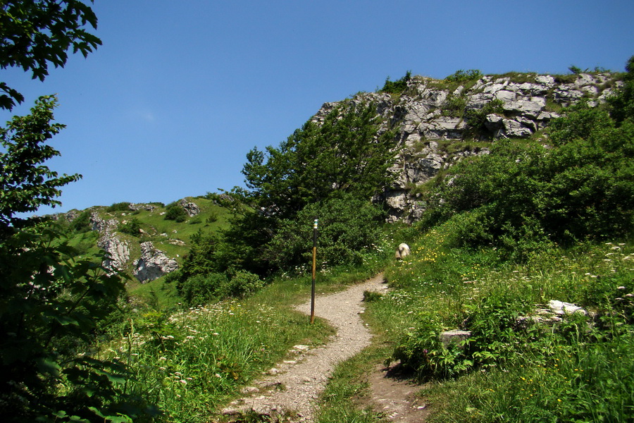 Hrebeňovka Lúčanskej Malej Fatry - 1 deň (Malá Fatra)