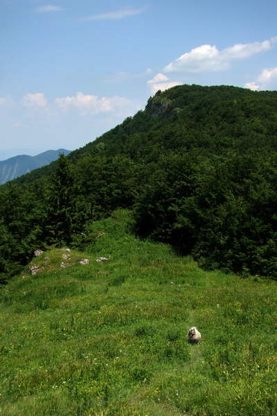 Hrebeňovka Lúčanskej Malej Fatry - 1 deň (Malá Fatra)