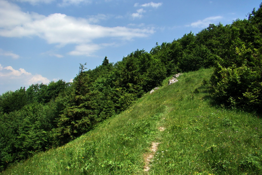 Hrebeňovka Lúčanskej Malej Fatry - 1 deň (Malá Fatra)