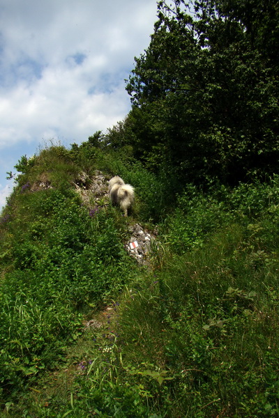 Hrebeňovka Lúčanskej Malej Fatry - 1 deň (Malá Fatra)