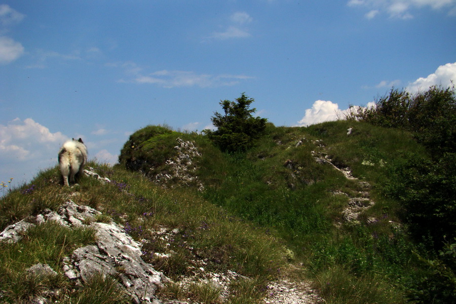 Hrebeňovka Lúčanskej Malej Fatry - 1 deň (Malá Fatra)