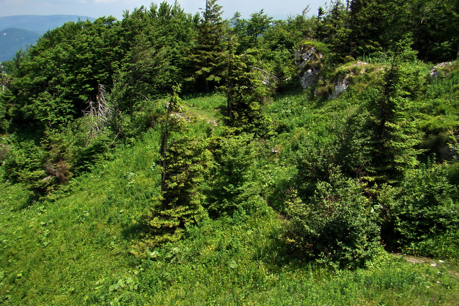 Hrebeňovka Lúčanskej Malej Fatry - 1 deň (Malá Fatra)