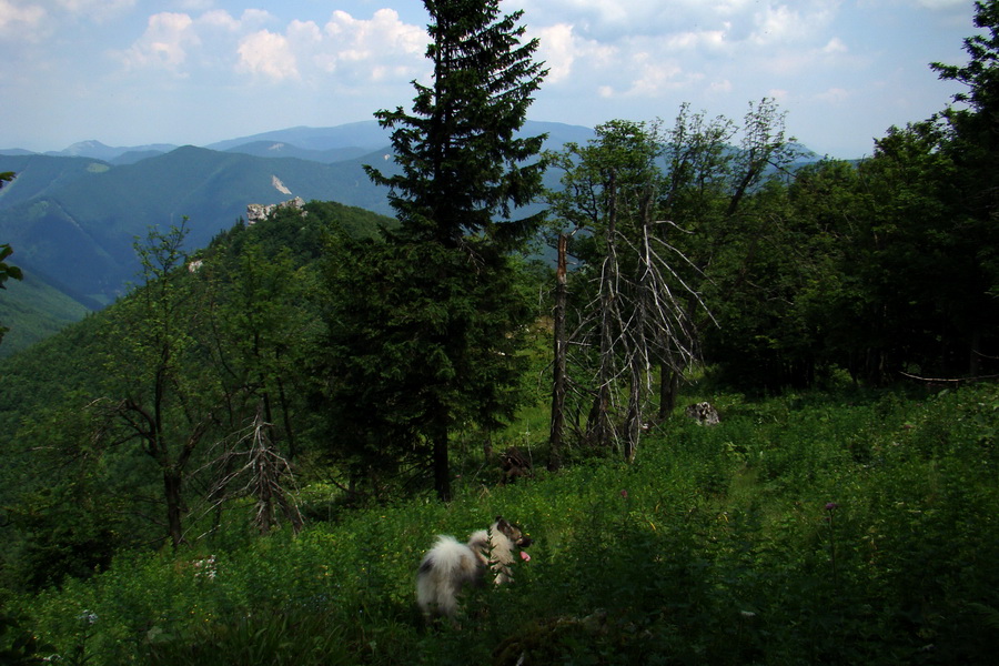 Hrebeňovka Lúčanskej Malej Fatry - 1 deň (Malá Fatra)