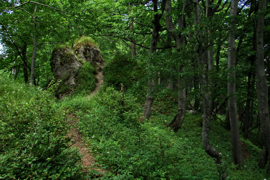 Hrebeňovka Lúčanskej Malej Fatry - 1 deň (Malá Fatra)