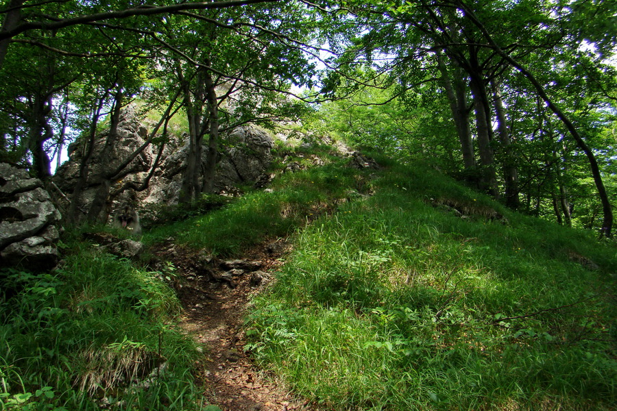 Hrebeňovka Lúčanskej Malej Fatry - 1 deň (Malá Fatra)