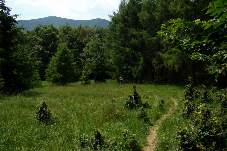 Hrebeňovka Lúčanskej Malej Fatry - 1 deň (Malá Fatra)