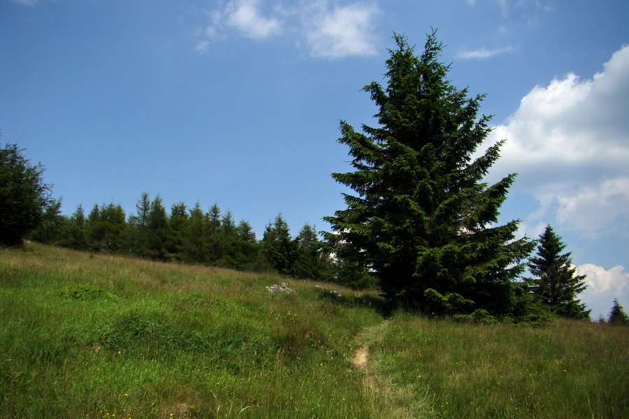 Hrebeňovka Lúčanskej Malej Fatry - 1 deň (Malá Fatra)