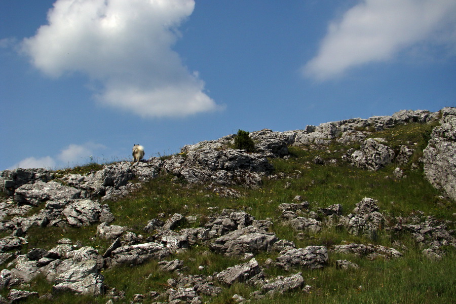 Hrebeňovka Lúčanskej Malej Fatry - 1 deň (Malá Fatra)