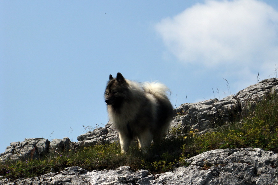 Hrebeňovka Lúčanskej Malej Fatry - 1 deň (Malá Fatra)