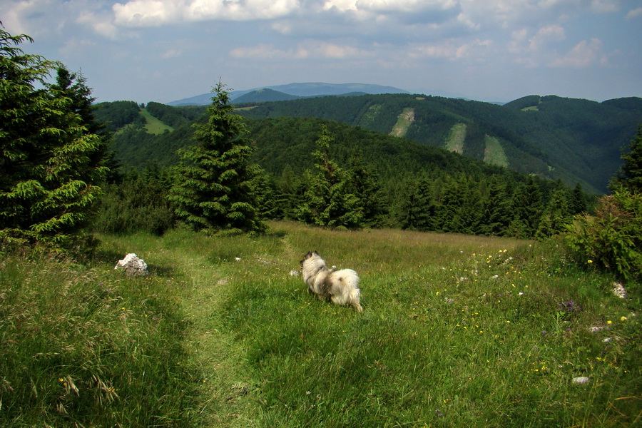 Hrebeňovka Lúčanskej Malej Fatry - 1 deň (Malá Fatra)