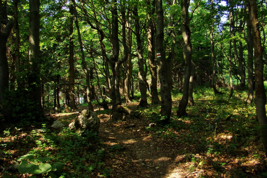 Hrebeňovka Lúčanskej Malej Fatry - 1 deň (Malá Fatra)