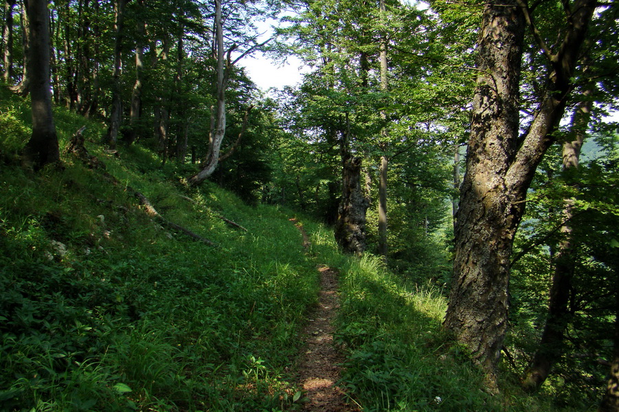 Hrebeňovka Lúčanskej Malej Fatry - 1 deň (Malá Fatra)