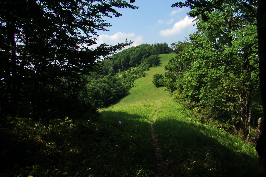 Hrebeňovka Lúčanskej Malej Fatry - 1 deň (Malá Fatra)