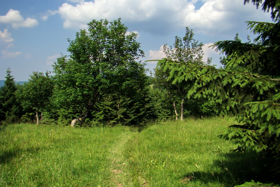 Hrebeňovka Lúčanskej Malej Fatry - 1 deň (Malá Fatra)