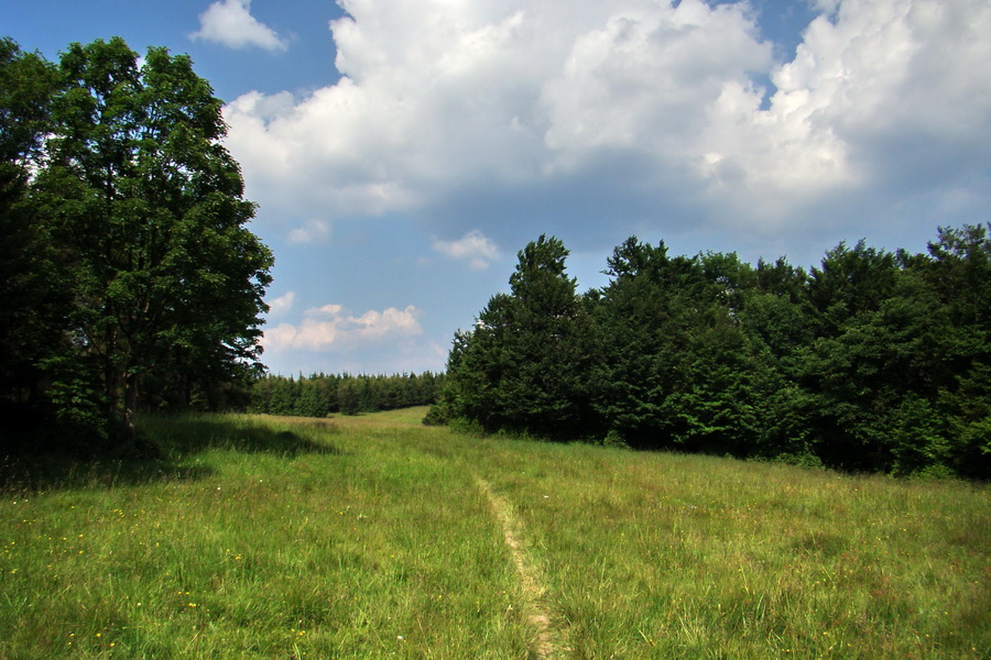 Hrebeňovka Lúčanskej Malej Fatry - 1 deň (Malá Fatra)