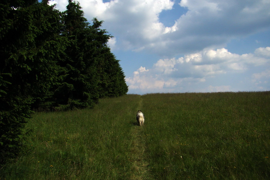 Hrebeňovka Lúčanskej Malej Fatry - 1 deň (Malá Fatra)