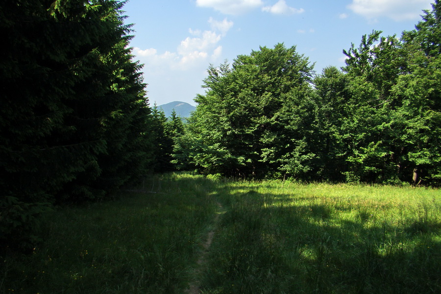 Hrebeňovka Lúčanskej Malej Fatry - 1 deň (Malá Fatra)