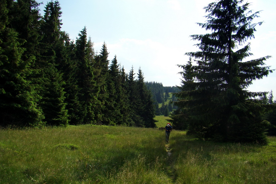 Hrebeňovka Lúčanskej Malej Fatry - 1 deň (Malá Fatra)