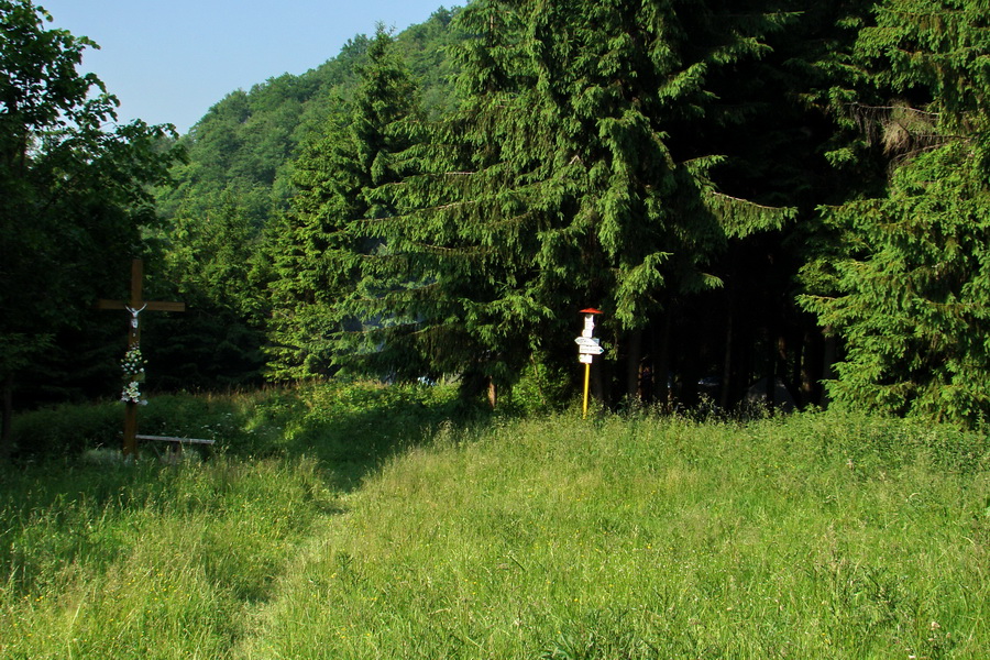 Hrebeňovka Lúčanskej Malej Fatry - 1 deň (Malá Fatra)