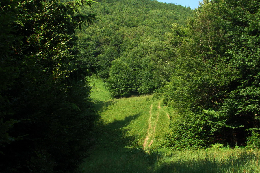 Hrebeňovka Lúčanskej Malej Fatry - 1 deň (Malá Fatra)