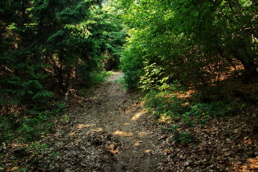 Hrebeňovka Lúčanskej Malej Fatry - 1 deň (Malá Fatra)