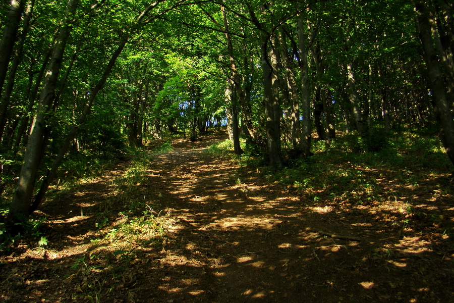 Hrebeňovka Lúčanskej Malej Fatry - 1 deň (Malá Fatra)