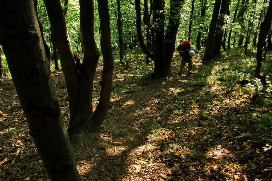 Hrebeňovka Lúčanskej Malej Fatry - 1 deň (Malá Fatra)