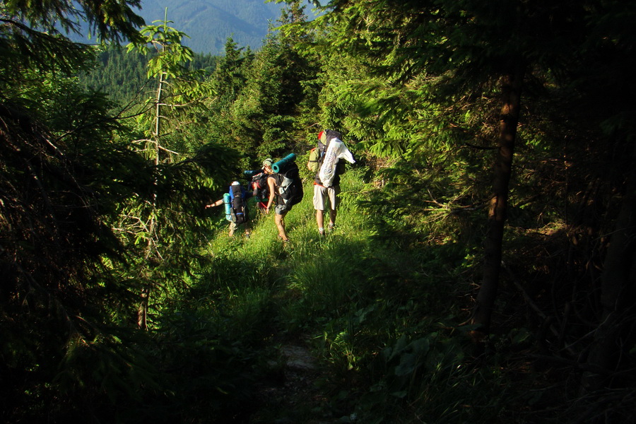 Hrebeňovka Lúčanskej Malej Fatry - 1 deň (Malá Fatra)