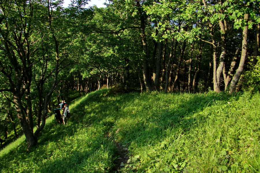 Hrebeňovka Lúčanskej Malej Fatry - 1 deň (Malá Fatra)