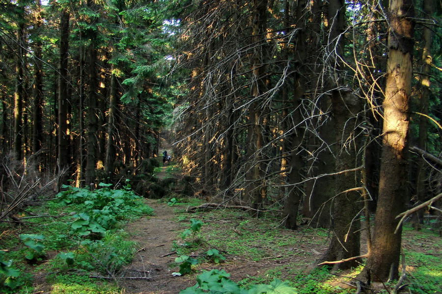 Hrebeňovka Lúčanskej Malej Fatry - 1 deň (Malá Fatra)