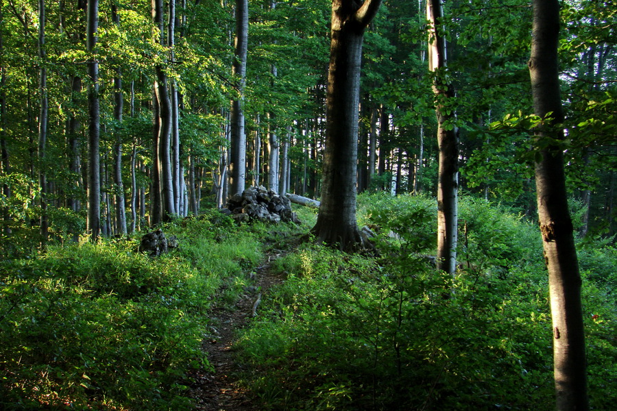 Hrebeňovka Lúčanskej Malej Fatry - 1 deň (Malá Fatra)