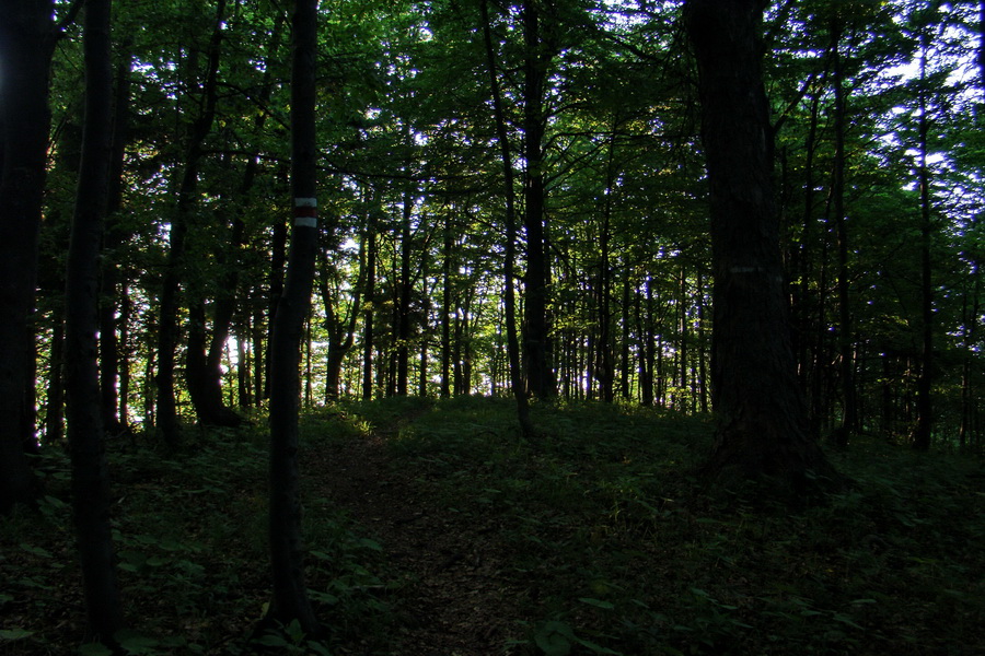 Hrebeňovka Lúčanskej Malej Fatry - 1 deň (Malá Fatra)