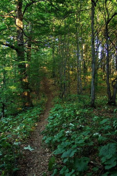 Hrebeňovka Lúčanskej Malej Fatry - 1 deň (Malá Fatra)