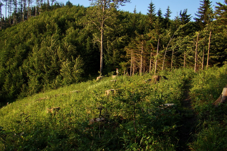 Hrebeňovka Lúčanskej Malej Fatry - 1 deň (Malá Fatra)