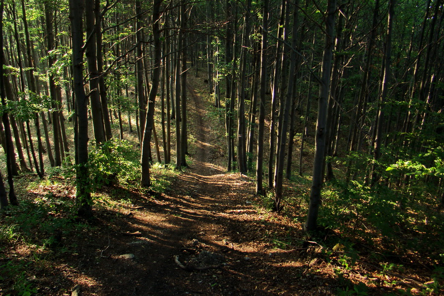 Hrebeňovka Lúčanskej Malej Fatry - 2 deň (Malá Fatra)