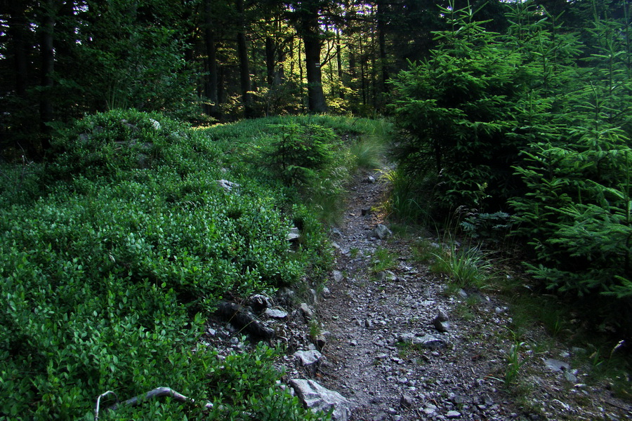 Hrebeňovka Lúčanskej Malej Fatry - 2 deň (Malá Fatra)