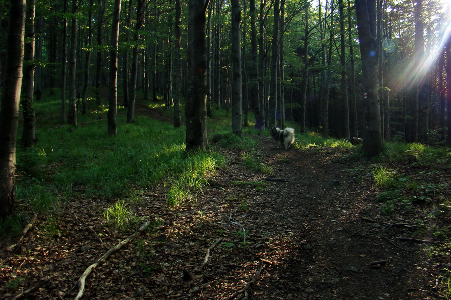 Hrebeňovka Lúčanskej Malej Fatry - 2 deň (Malá Fatra)