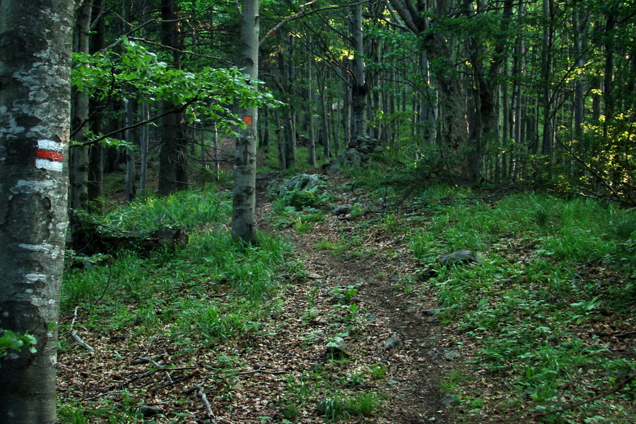 Hrebeňovka Lúčanskej Malej Fatry - 2 deň (Malá Fatra)